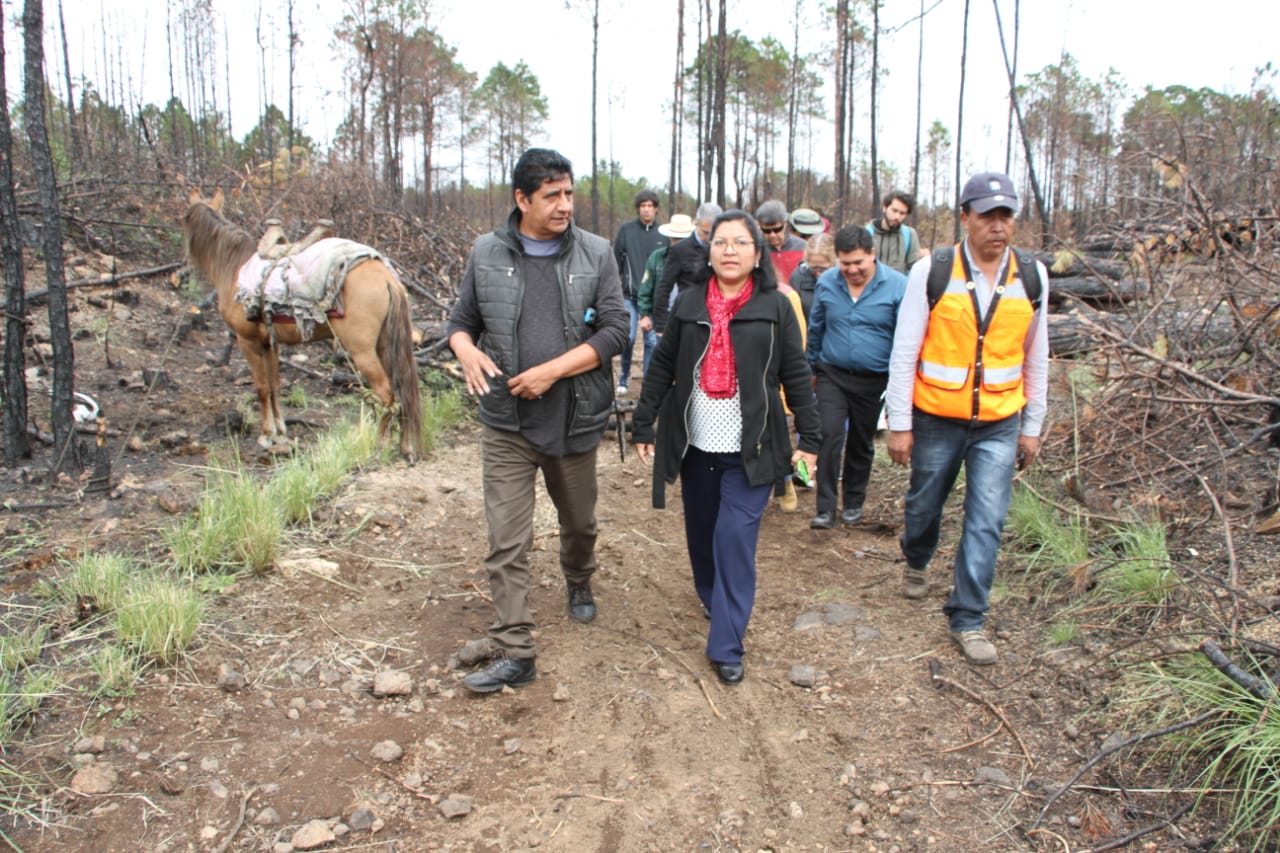 Más de 30% de avance en restauración de San Juan del Monte tras incendio