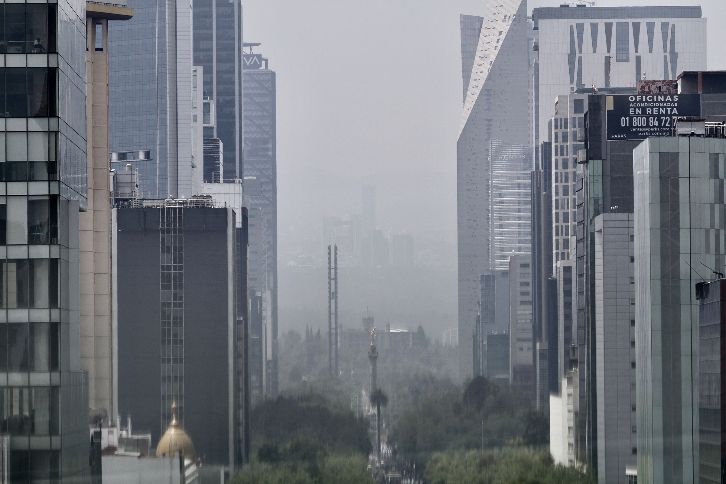 Contaminación del aire quita 10 años de memoria a las personas