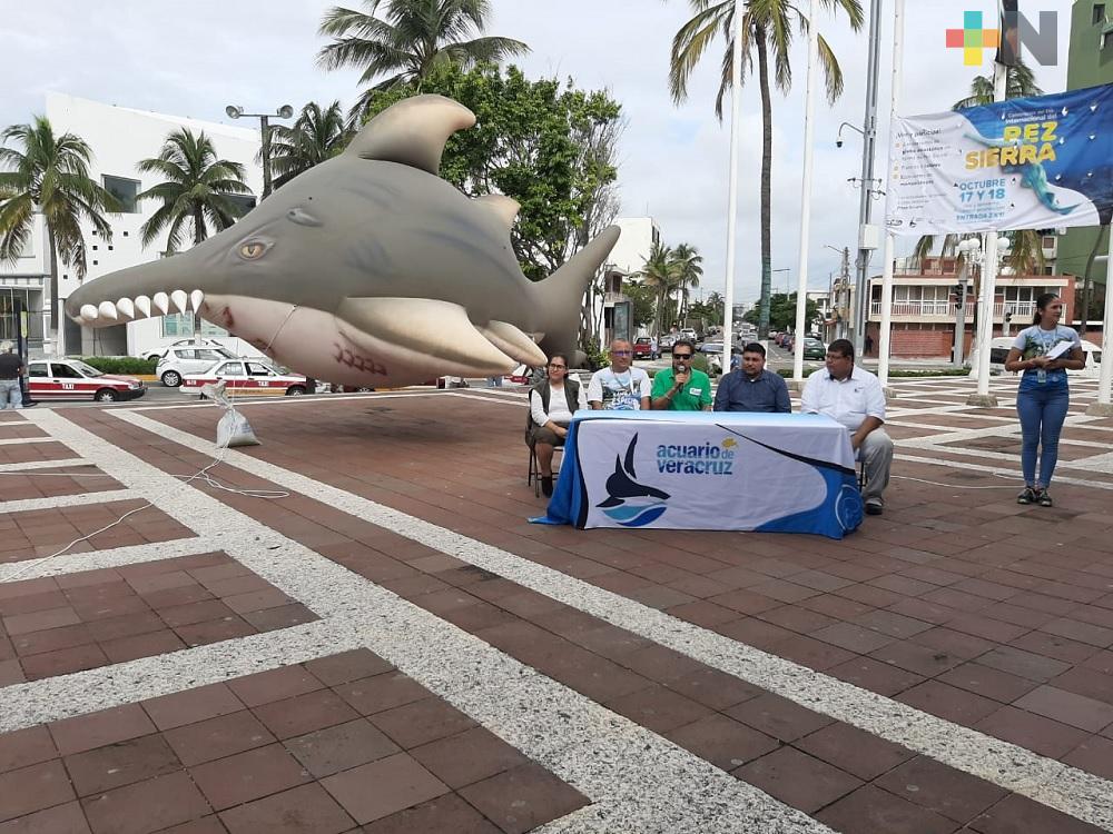Acuario de Veracruz celebra Día Internacional del Pez Sierra con globo aerostático