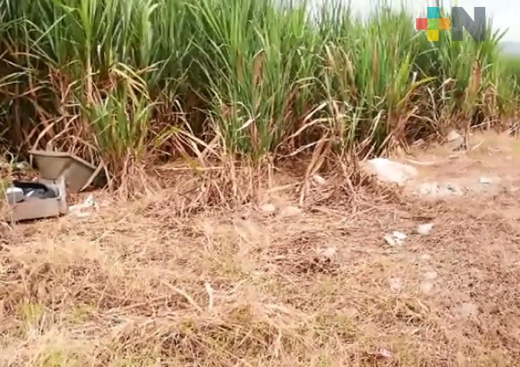 Tras clausura de basurero clandestino, población de Omealca tira desechos en cañales