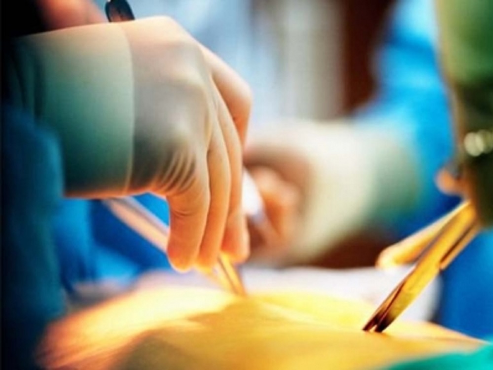 Científico de la UNAM presenta proyecto para crear tejidos y órganos