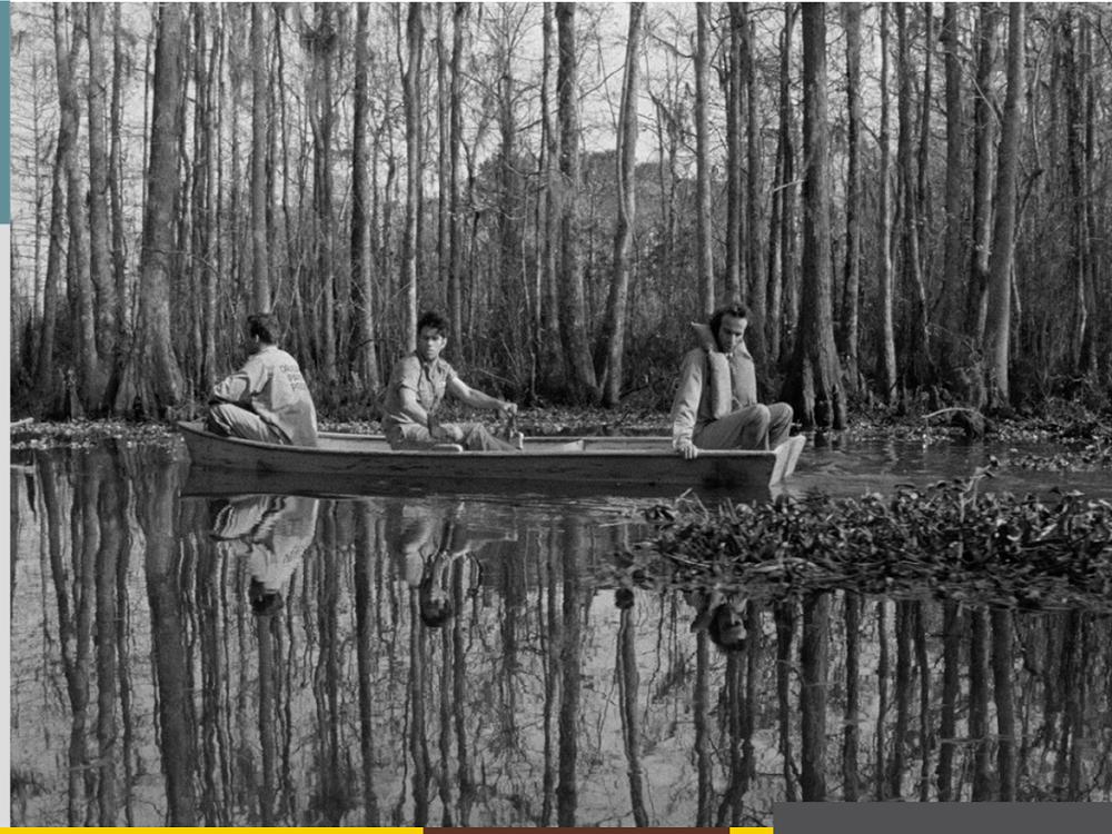 Viernes de cine de la GACX dedicado a Jim Jarmush