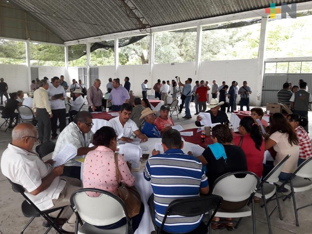 Diputados continúan promoviendo la creación de Ley Citrícola para Veracruz