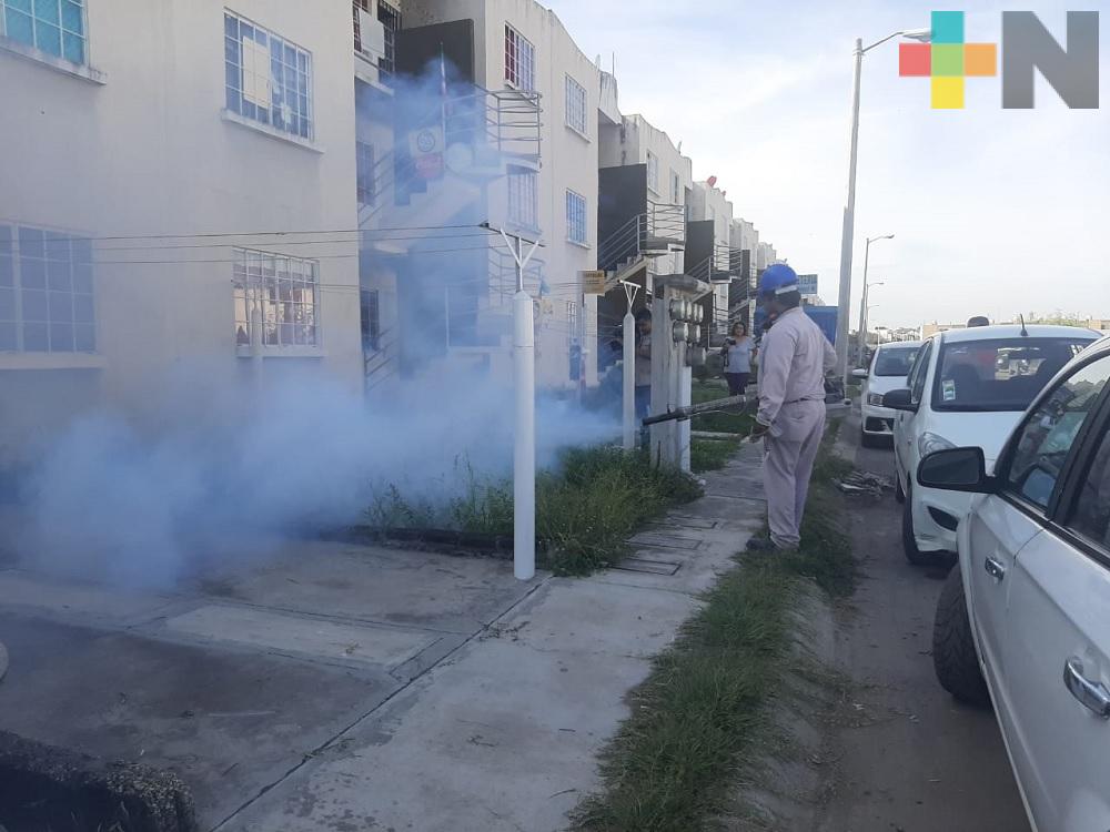 En colonias del municipio de Veracruz refuerzan acciones con operativos de fumigación