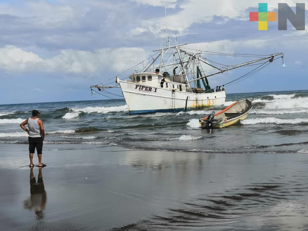 Extienden veda para capturar toda especie de camarón en Golfo de México y mar Caribe