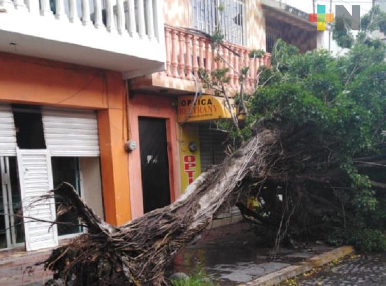 Evento de Norte deja daños en vía pública de zona Veracruz-Boca del Río