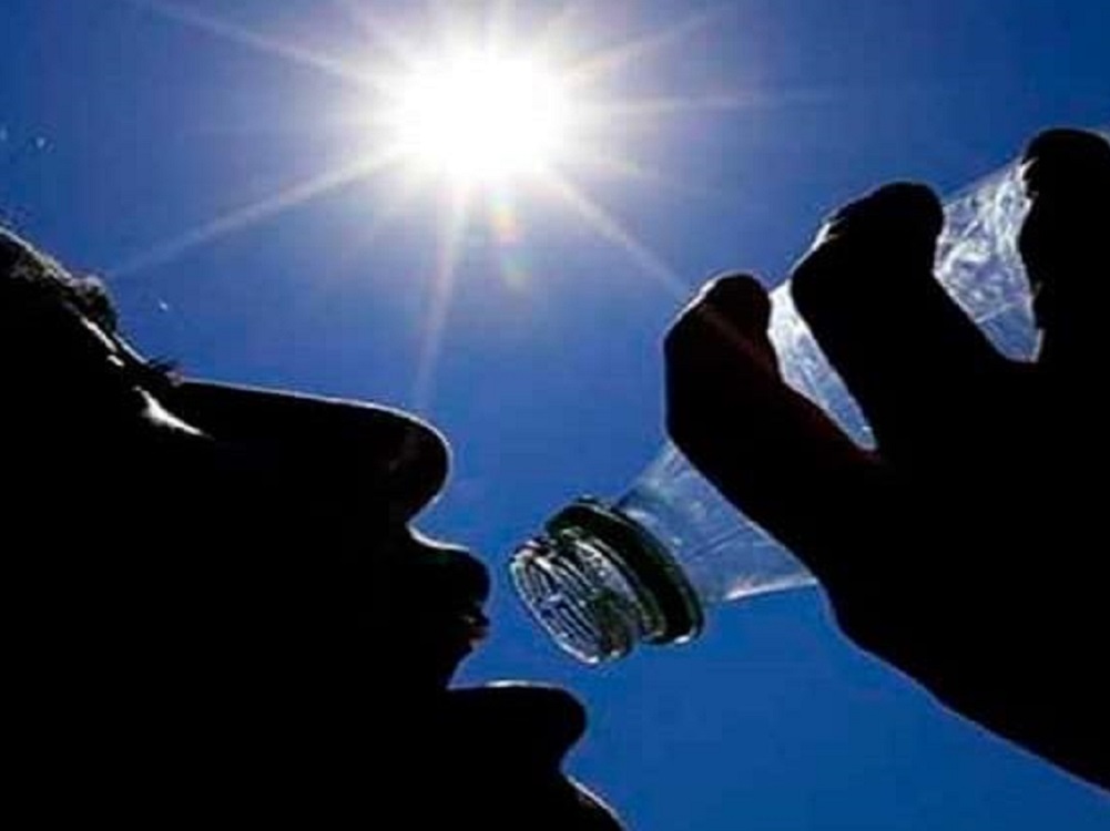 Falso que para tener riñones saludables se deba tomar 1.5 litros de agua