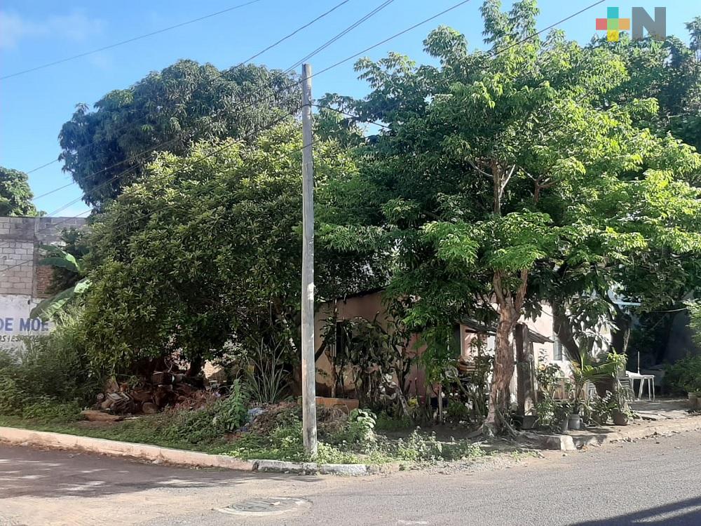 Jurisdicción Sanitaria VIII detecta moscos con carga viral positiva de dengue