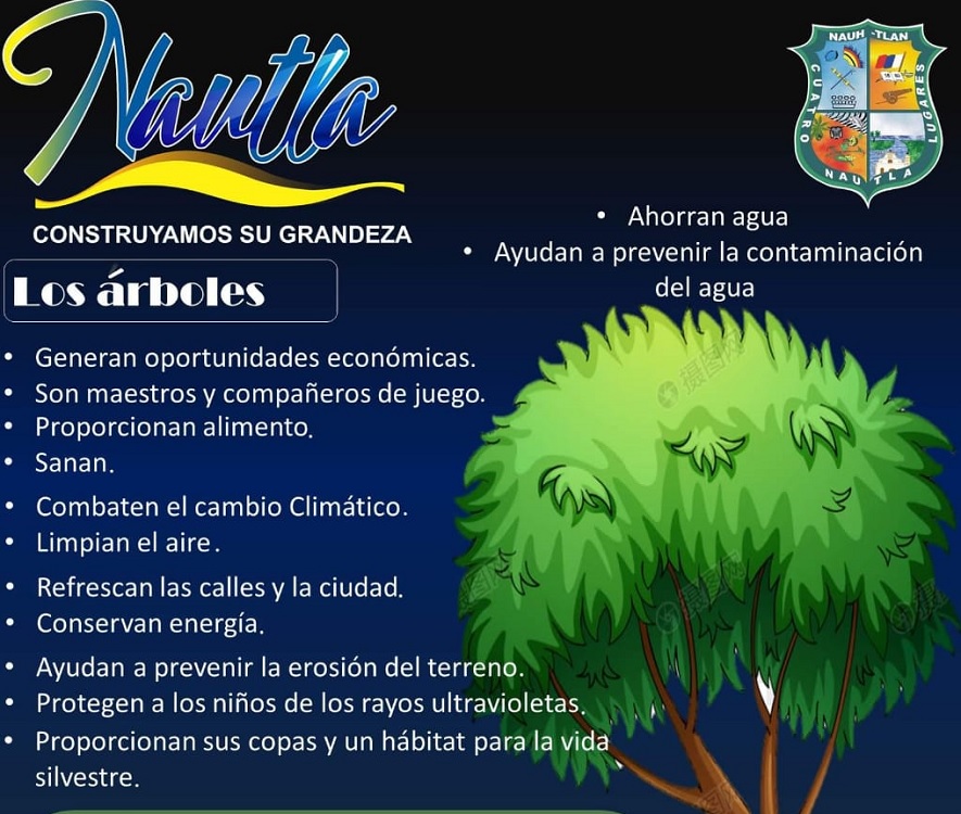 Nautla se prepara para sembrar árboles frutales