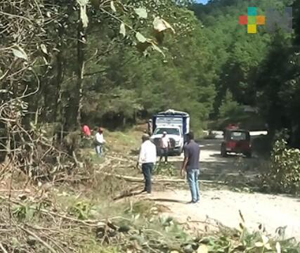 Podan árboles y limpian cunetas en carretera Huayacocotla-Tulancingo