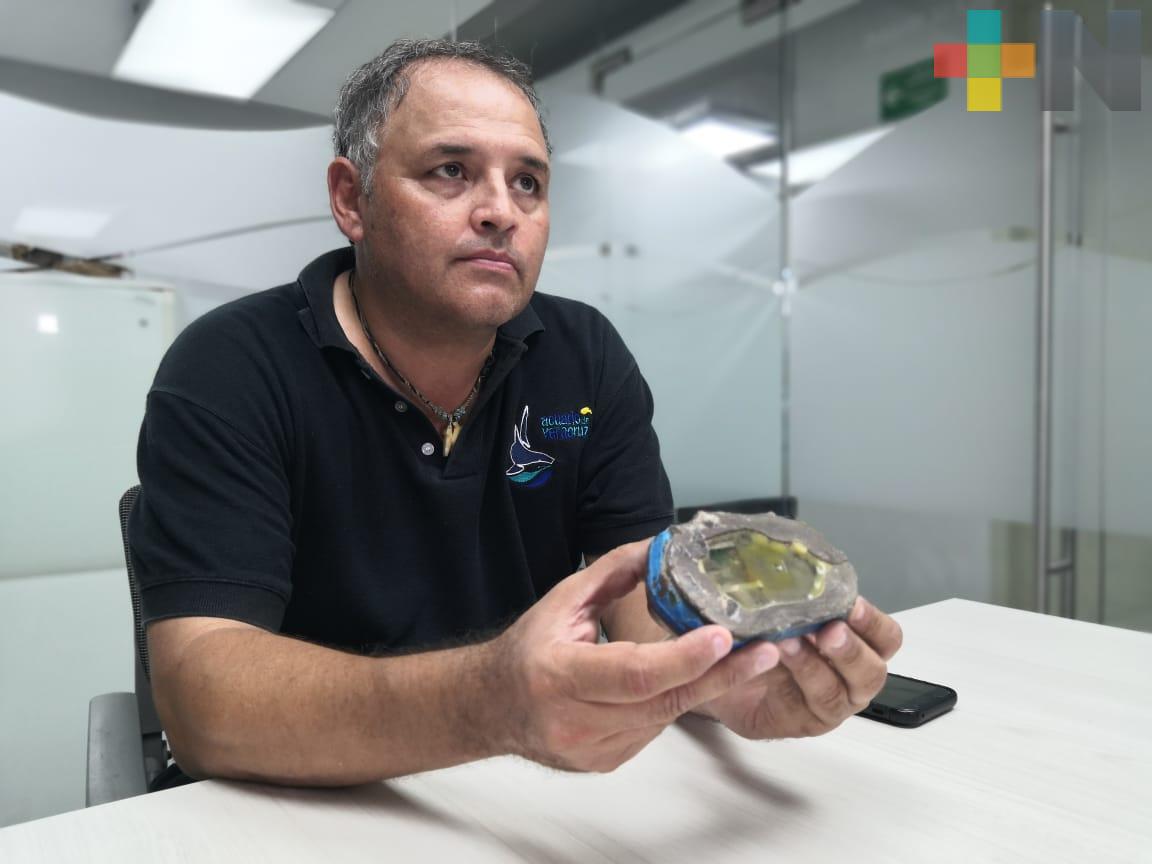 Pescadores entregan transmisor satelital de una tortuga, encontrado en playas de Antón Lizardo