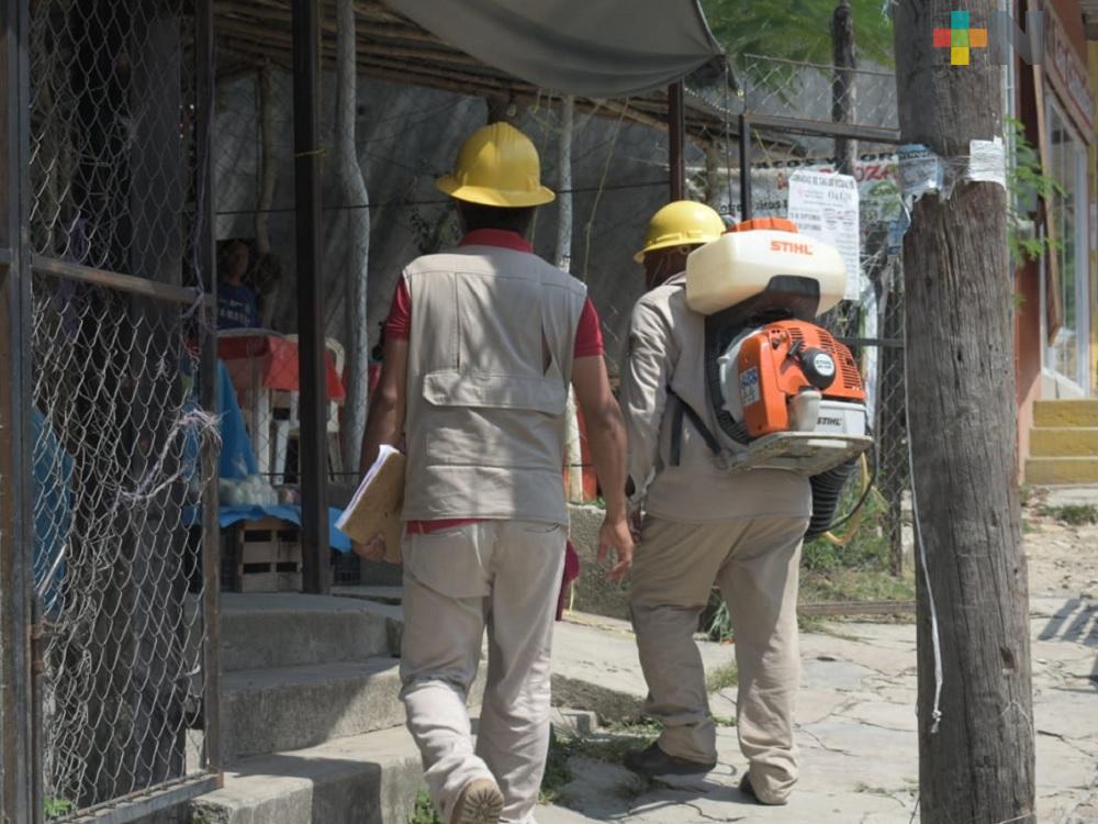 Continúan acciones contra el mosquito transmisor del dengue en Tuxpan