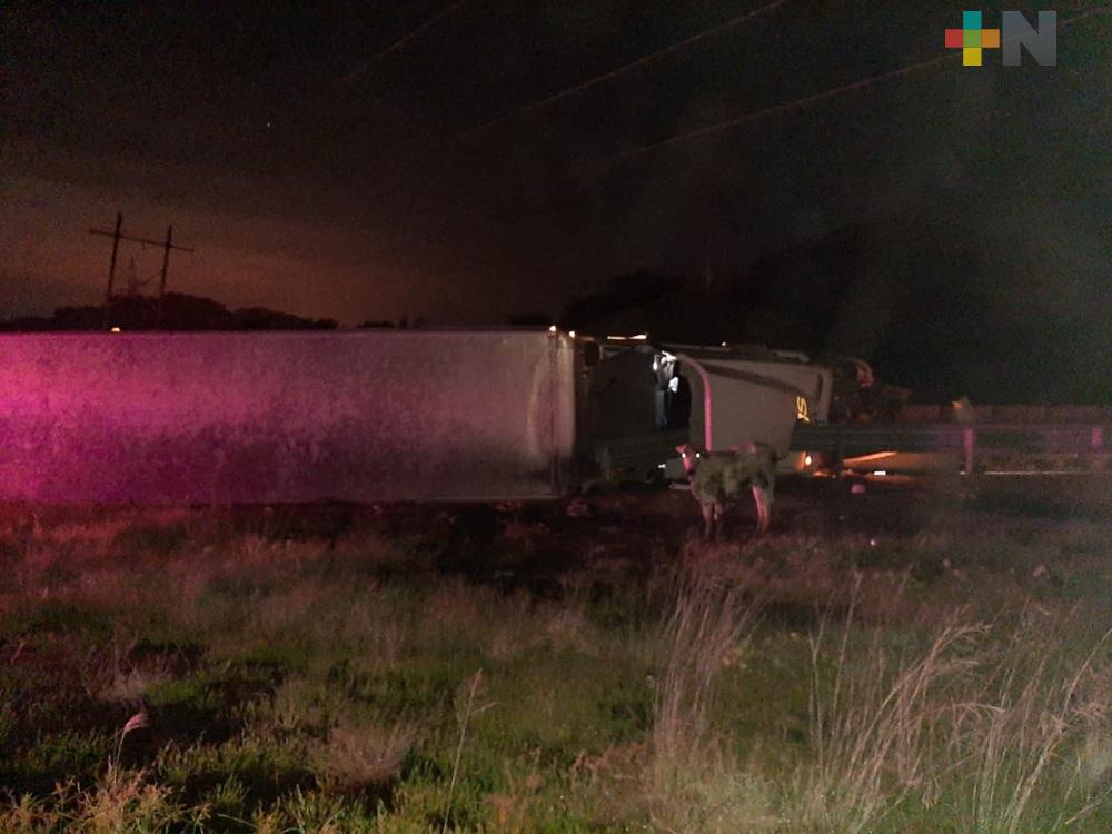 Vuelca tráiler que transportaba ganado en carretera Cosoleacaque-Nuevo Teapa