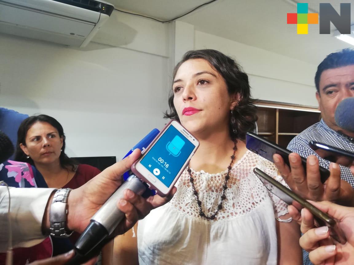 Declaratoria de emergencia por lluvias en municipios de Veracruz no ha sido necesaria: Guadalupe Osorno