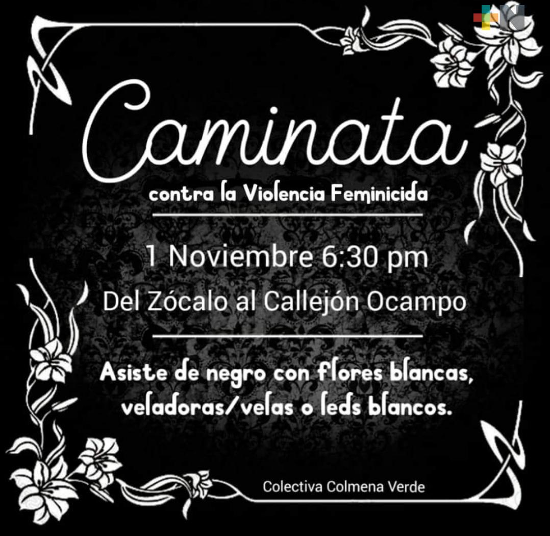 Colmena Verde convoca a caminata pacífica para conmemorar a víctimas de violencia feminicida