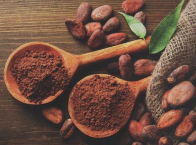 Decretan el 2 de septiembre de cada año «Día Nacional del Cacao y el Chocolate»