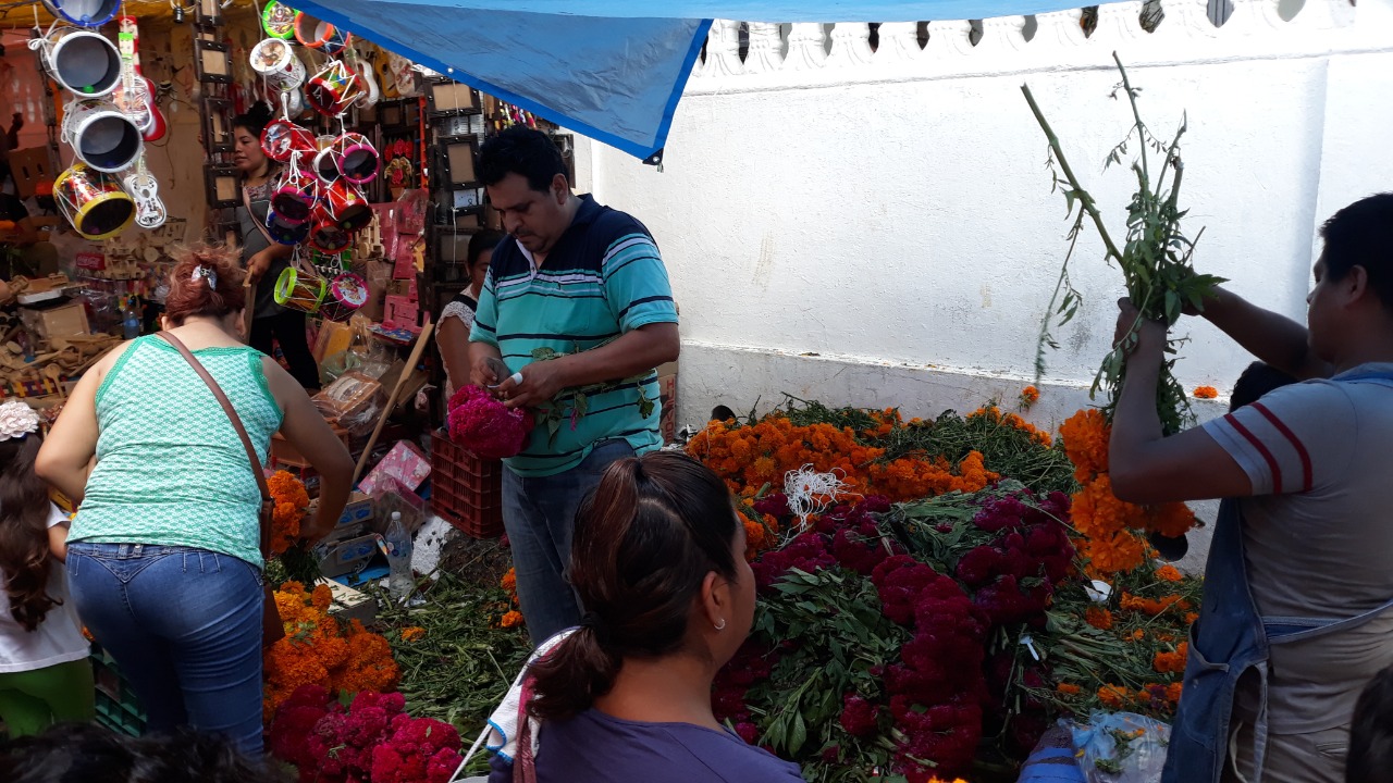 Todos Santos favorece el comercio en Chicontepec