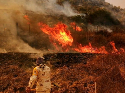 Afectan incendios 10 mil 780 hectáreas en Baja California