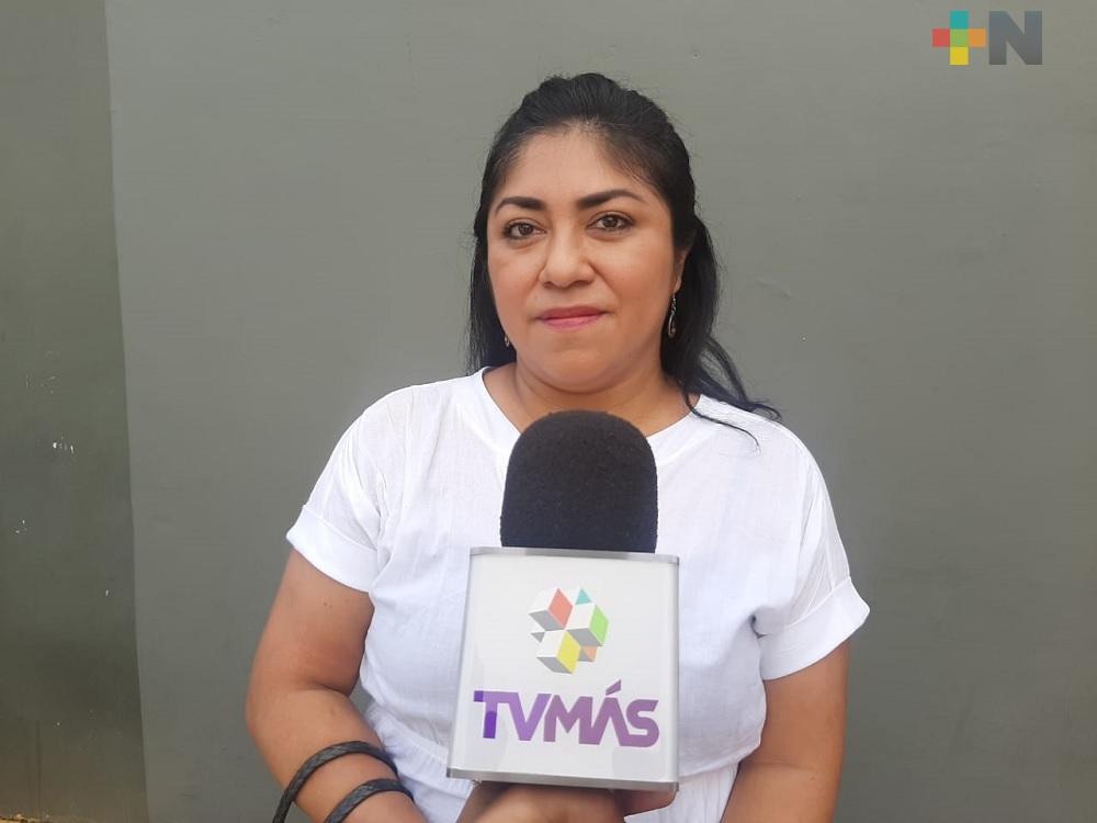 El 25 de noviembre, Colmena Verde dará a conocer mapeo de zonas inseguras en  Veracruz y Boca del Río