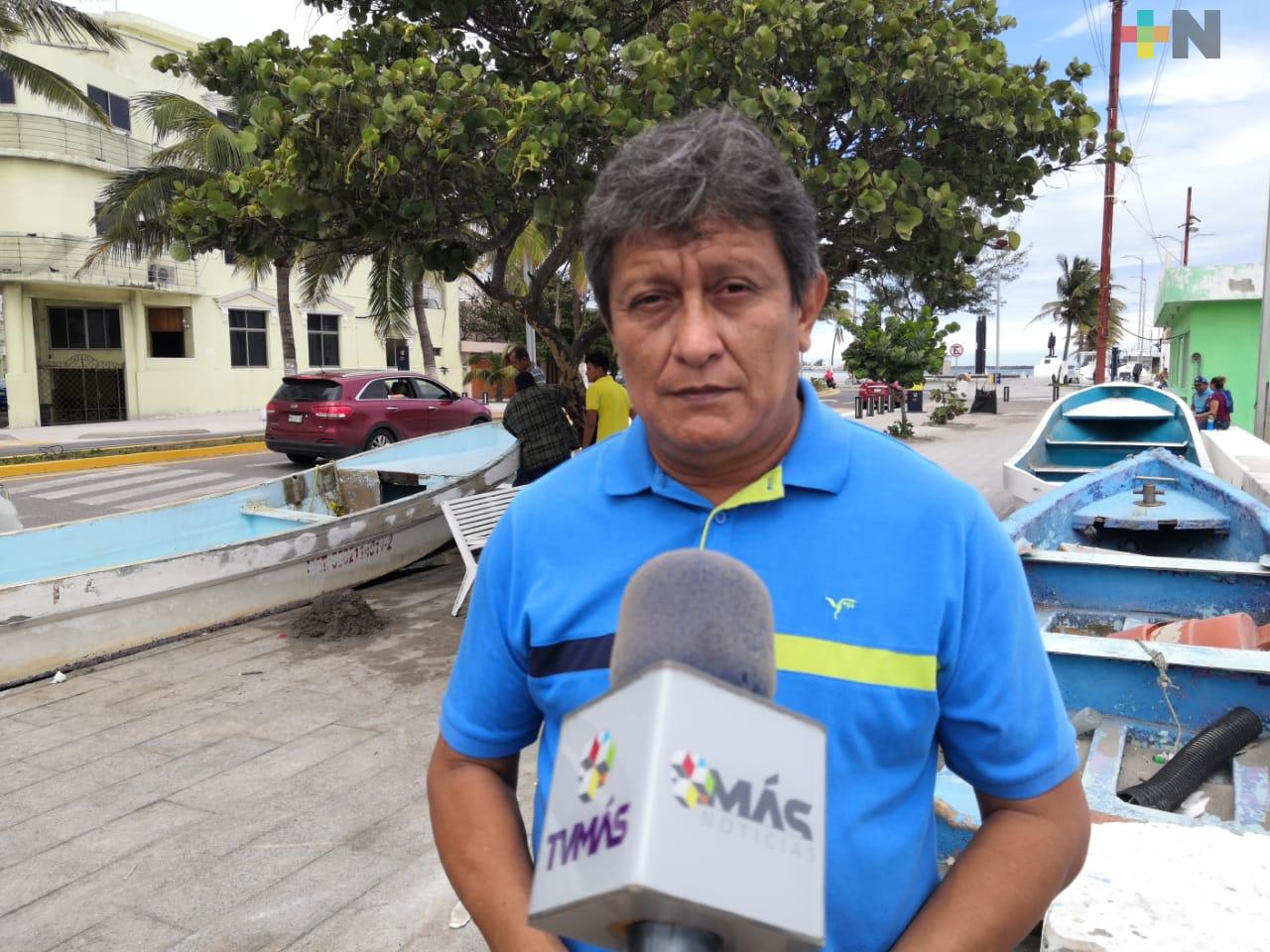 Pescadores veracruzanos piden prorrogar veda de tiburón, camarón y robalo