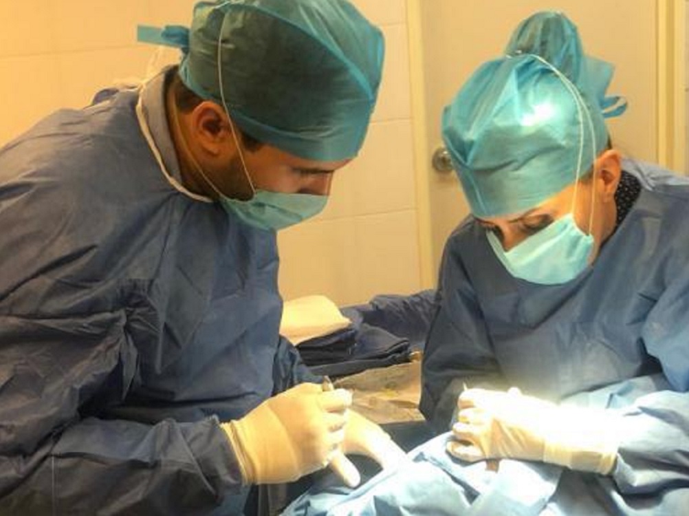 Trasplantes corazón, son cada vez más una práctica contundente para salvar vidas
