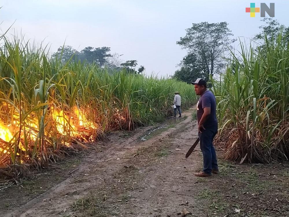 Con inicio de zafra del ingenio Tres Valles se reactiva economía en esa región