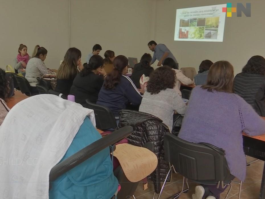 Inecol capacita a maestros en temas ambientales