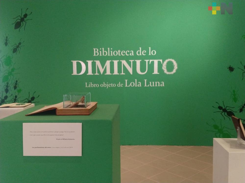 Inauguran exposiciones Biblioteca de lo Diminuto, de la artista emergente Lola Luna