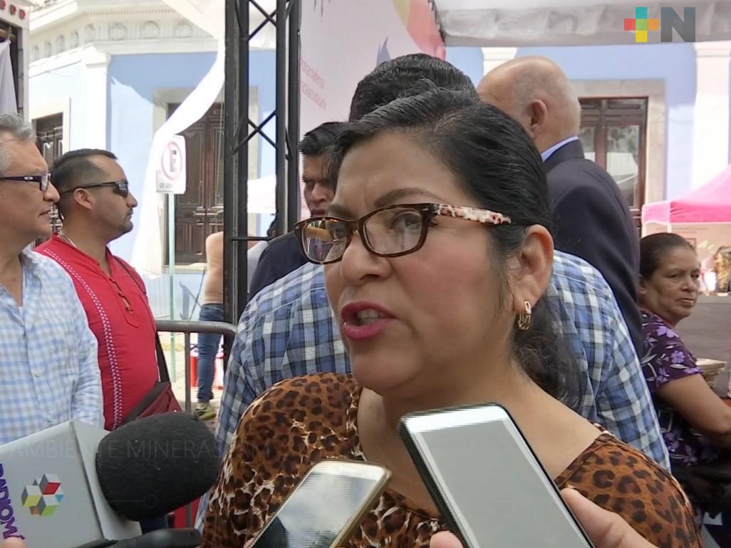 Sedema sin recibir información sobre permisos otorgados a mineras en el estado de Veracruz