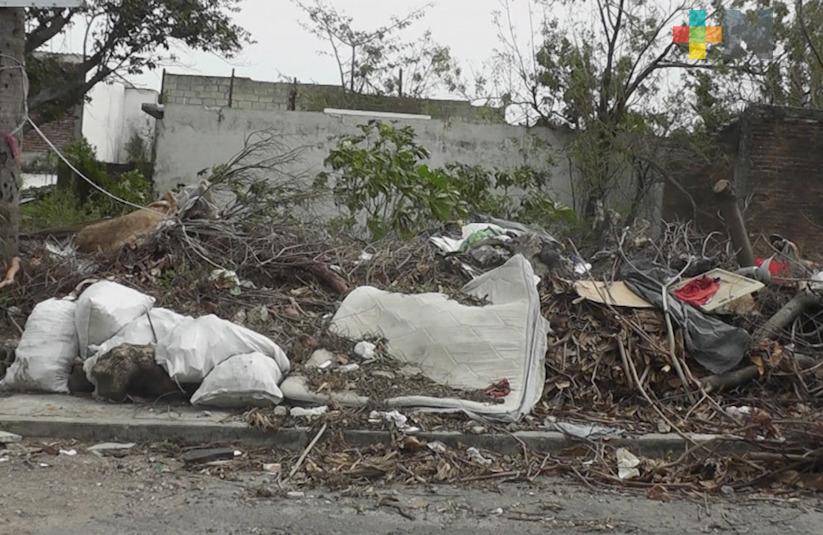 Lote baldío en Veracruz es un foco de infección y nido de vándalos, señalan vecinos