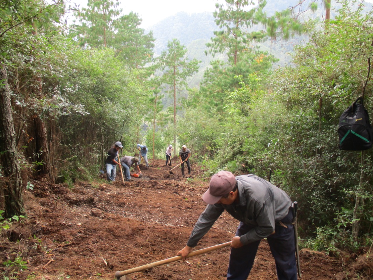 Firme el combate de incendios forestales en Sierra de Huayacocotla y Los Tuxtlas