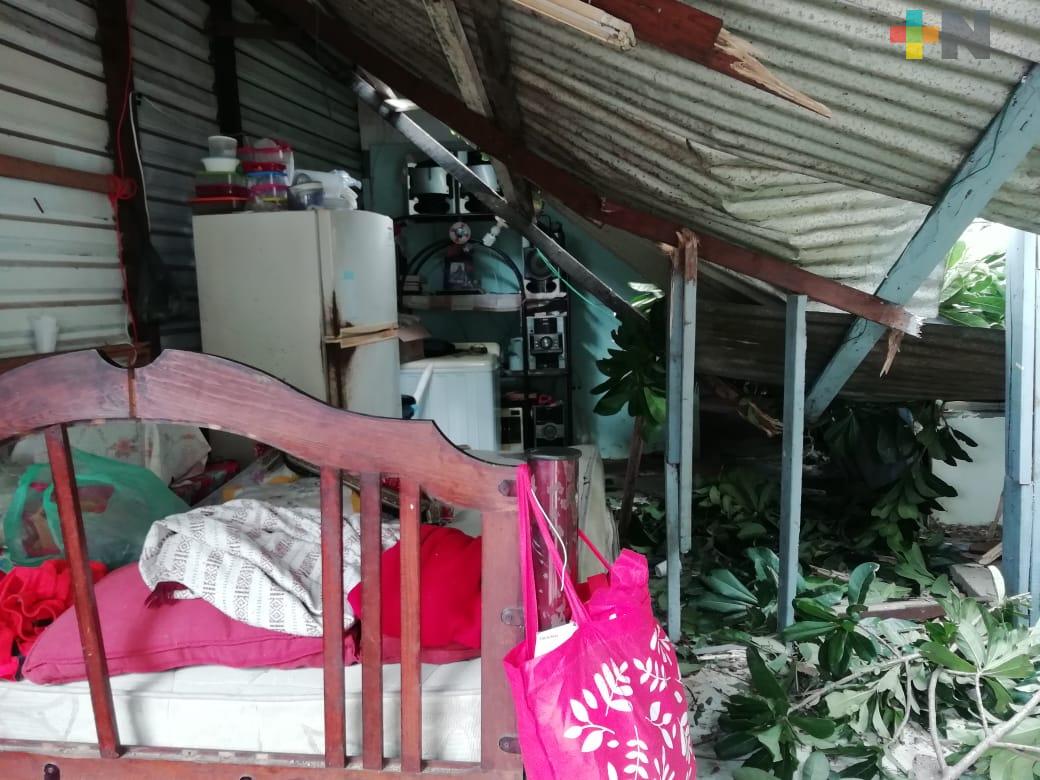 Tres casas afectadas por caída de árboles quedan inhabitables