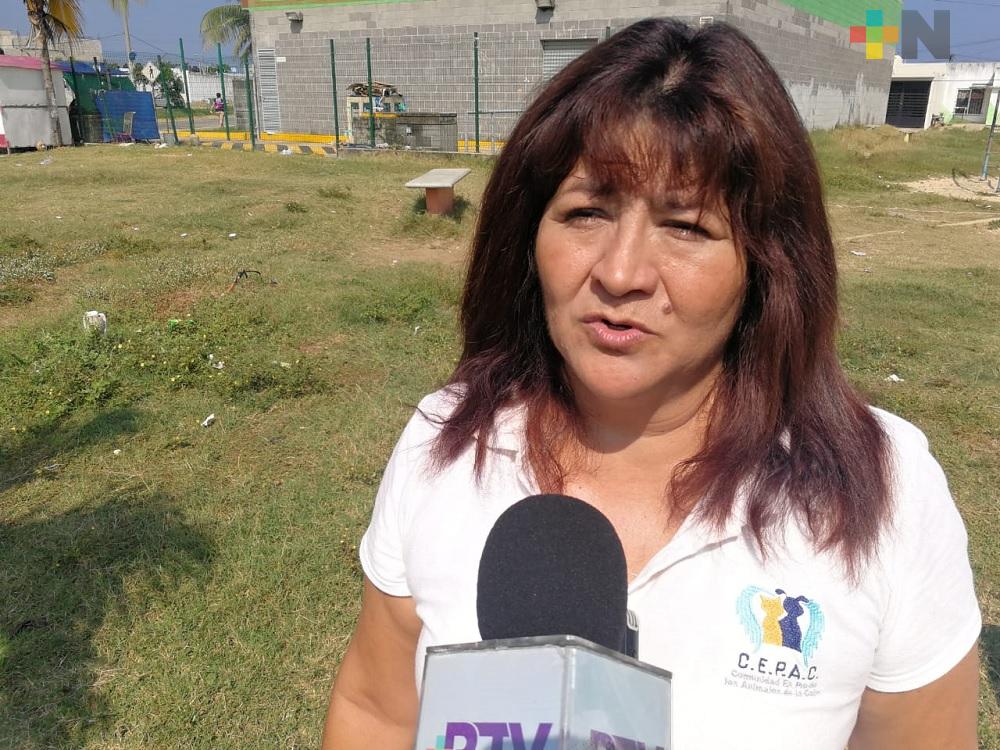 Detectan a veterinarios que ejercen sin cédula profesional en Coatzacoalcos