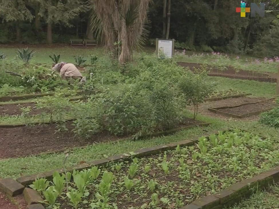 Jardín Botánico «Francisco Javier Clavijero» uno de los 10 mejores para visitar en Norteamérica