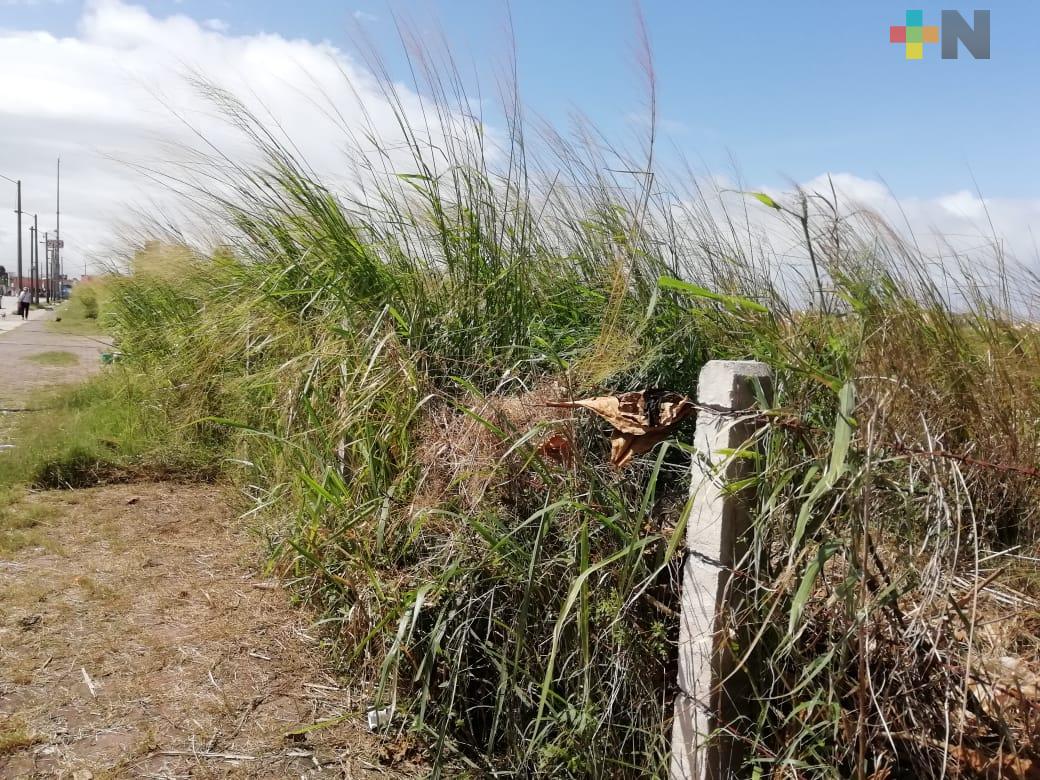 Lotes baldíos, un problema que afecta a todas las colonias de Coatzacoalcos