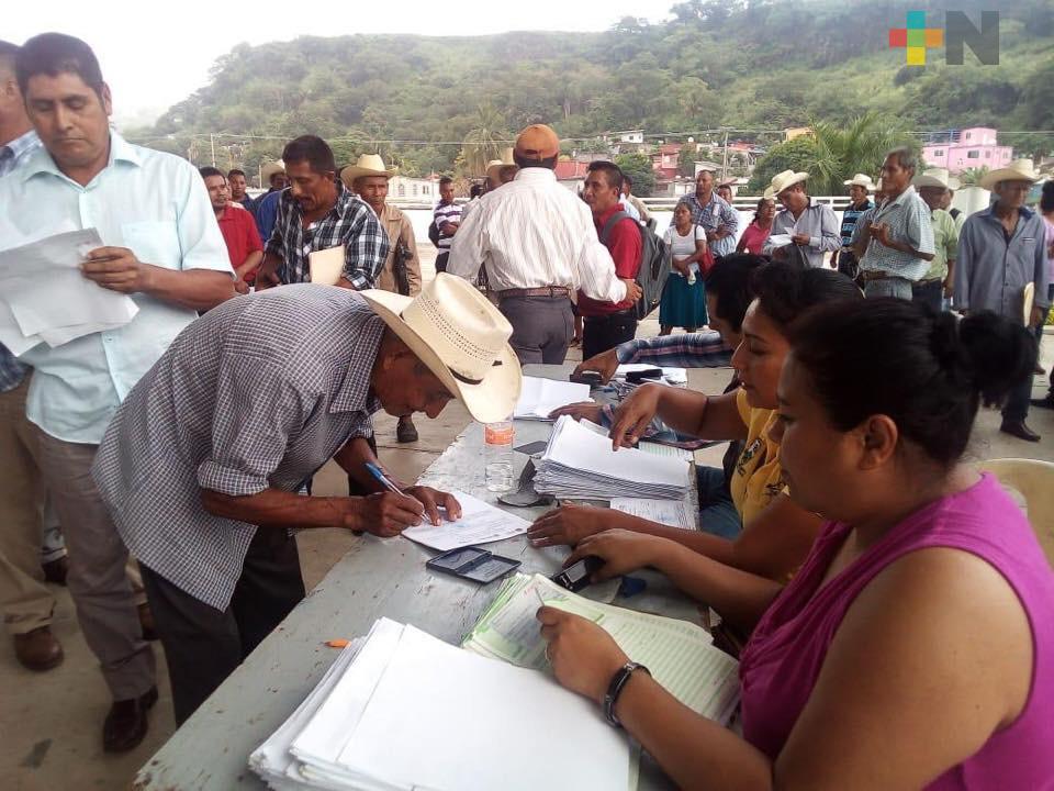 Protege Gobierno de Veracruz 25 mil 931 hectáreas con Seguro Agrícola Catastrófico