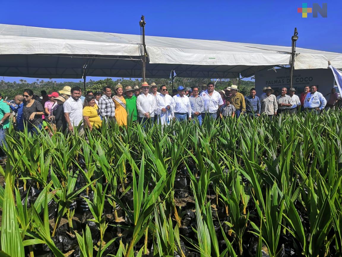 Plantan mil 500 palmas de coco en el ejido Colorado de Coatzacoalcos