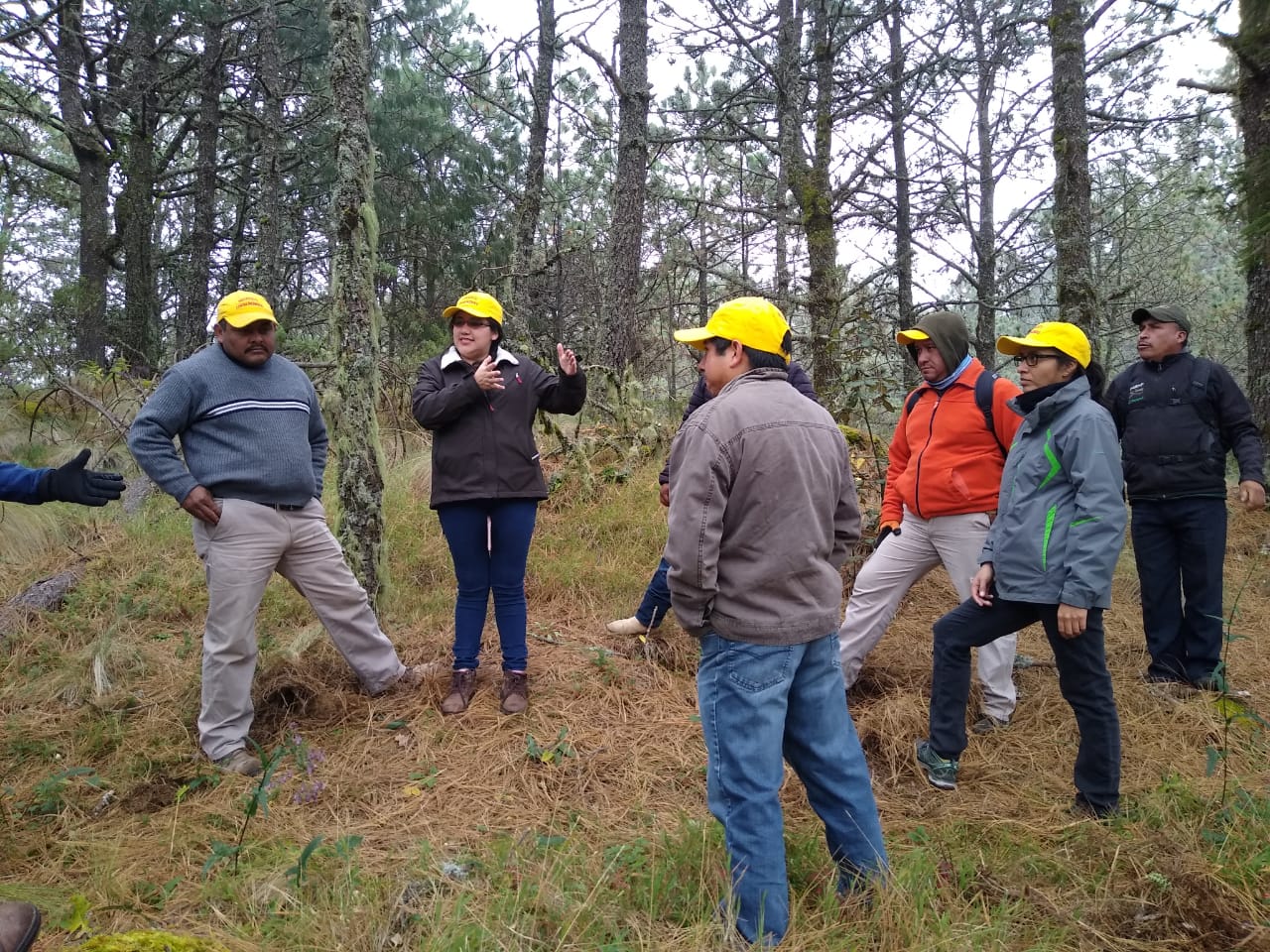 Rehabilita SEDEMA 10 mil metros de brechas cortafuego en San Pedro del Monte