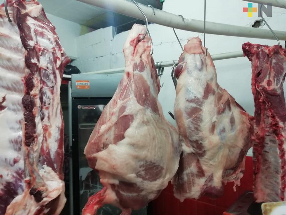 Garantizado abasto de carne de cerdo para todo Veracruz