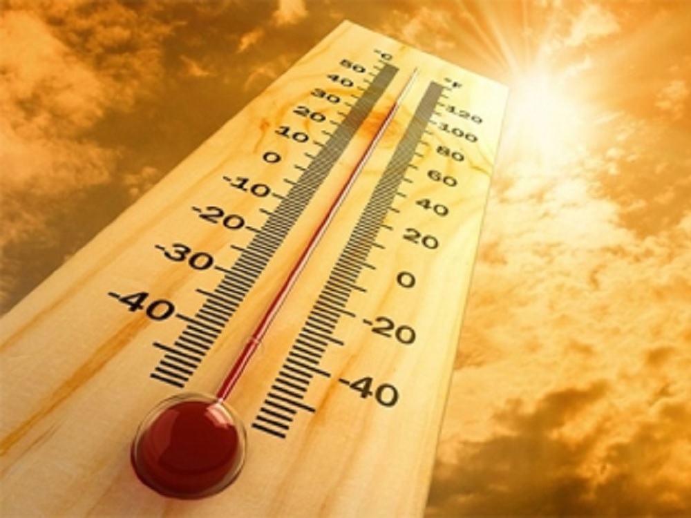 Cierra 2019 década de niveles récord de temperaturas: OMM