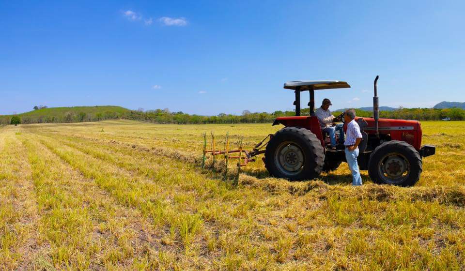 El campo mexicano debe recobrar su función prioritaria