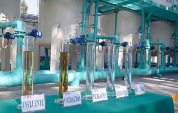 Crean prueba para prevenir la fluorosis esquelética