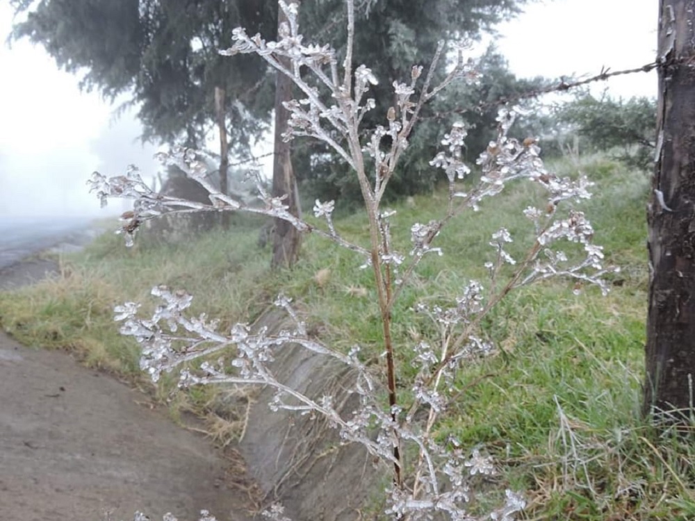 En Veracruz se esperan lluvias; sin descartar cencellada o nieve