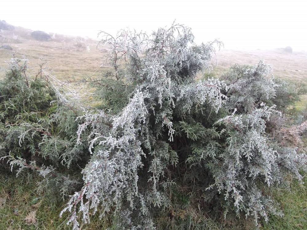 En Las Vigas de Ramírez se presentó la primera helada de la temporada