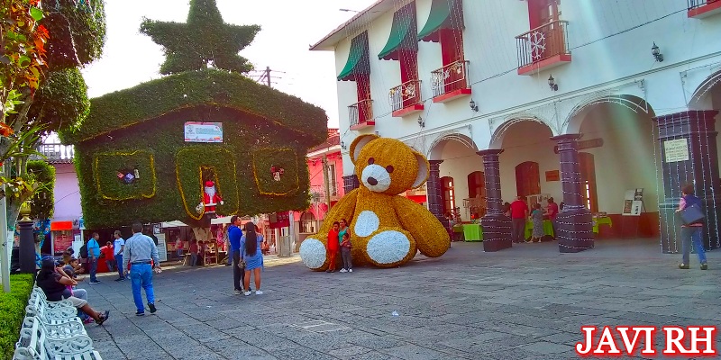 Oso gigante en Huatusco