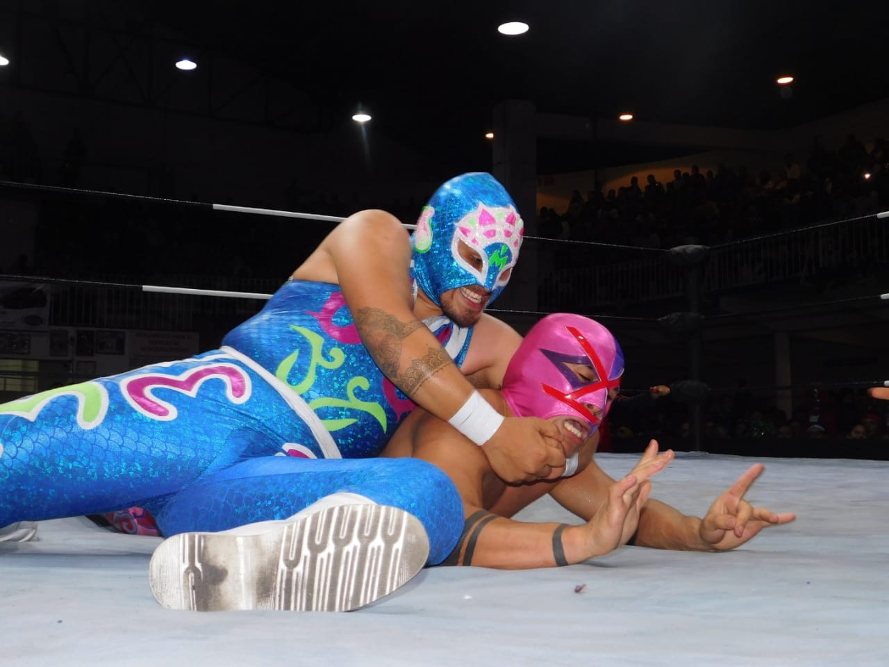 Día Nacional de la Lucha Libre