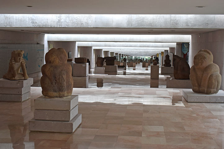 Invitan a recorrer el Museo de Antropología de Xalapa de manera virtual