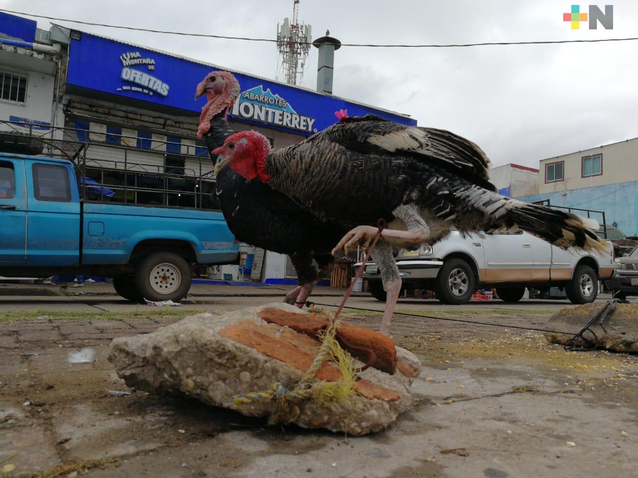 El consumo de pavos se reduce por crisis económica en las familias