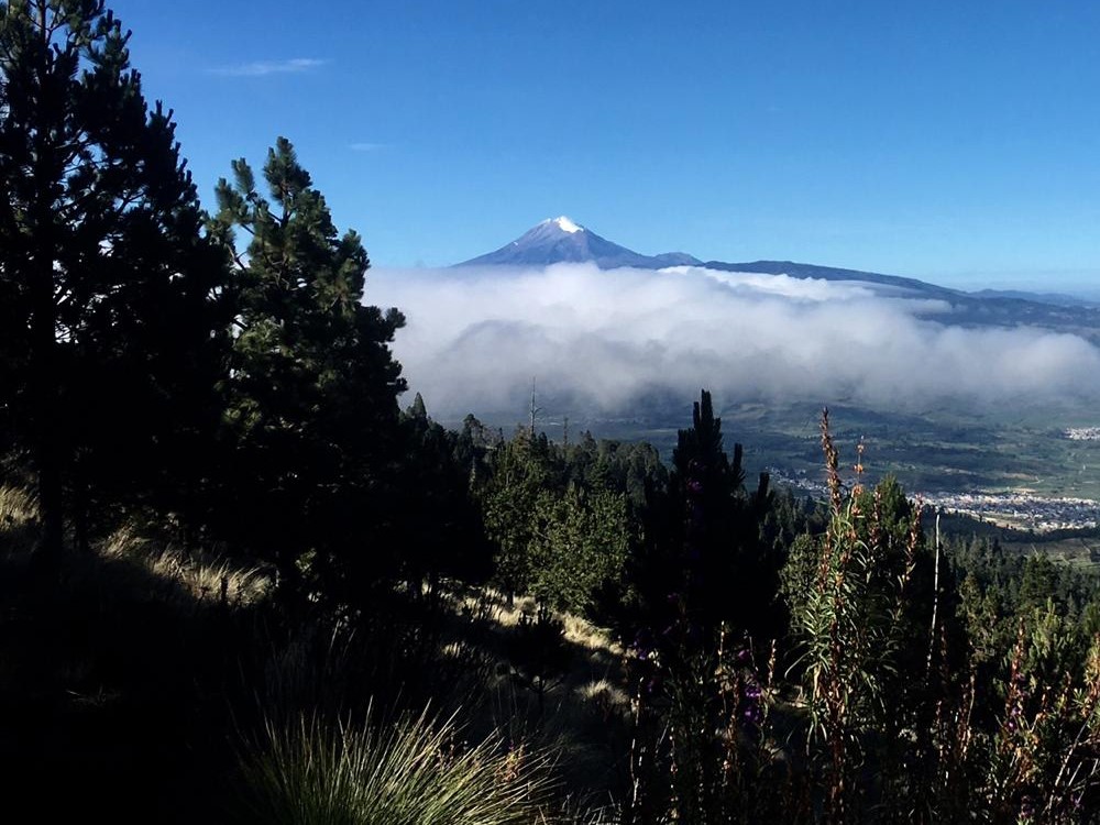 Por iniciar Plantando el Futuro, en Pico de Orizaba