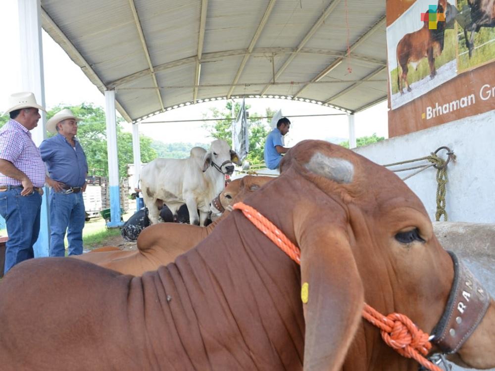 Tianguis agropecuario busca mejorar panorama de productores ante estiaje